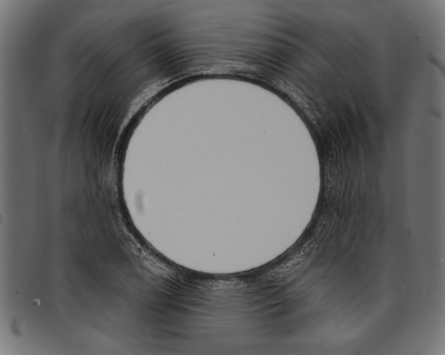 X0000097671122200803281007