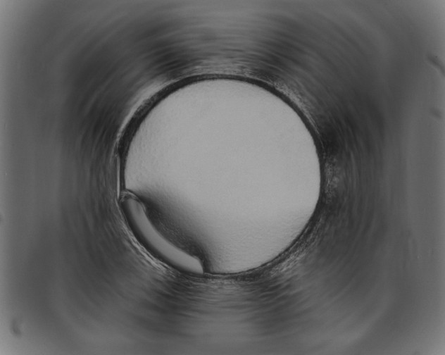 X0000097671123200803281007