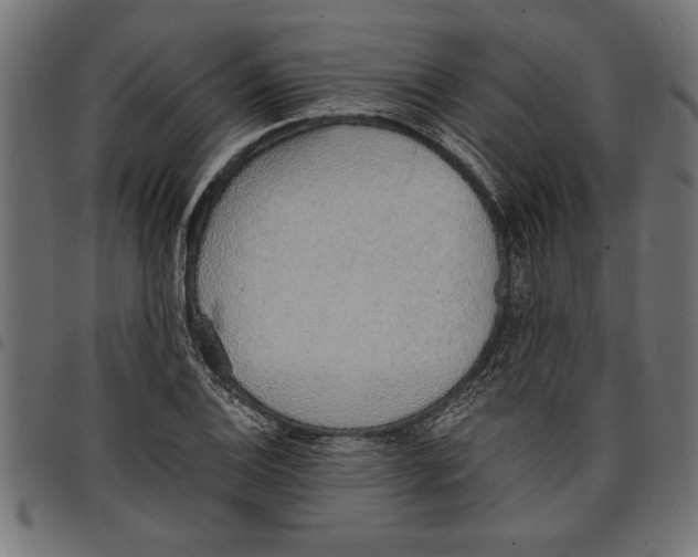 X0000097671124200803281007
