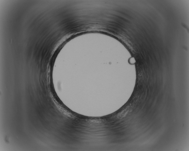 X0000097671126200803281007