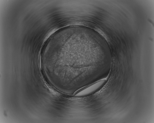 X0000097671127200803281007