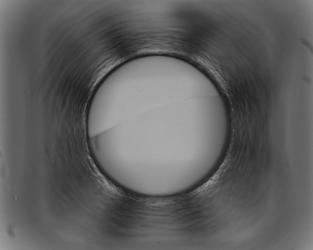 X0000097671129200803281007