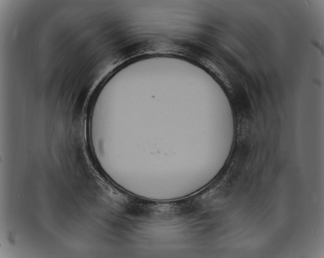X0000097671130200803281007