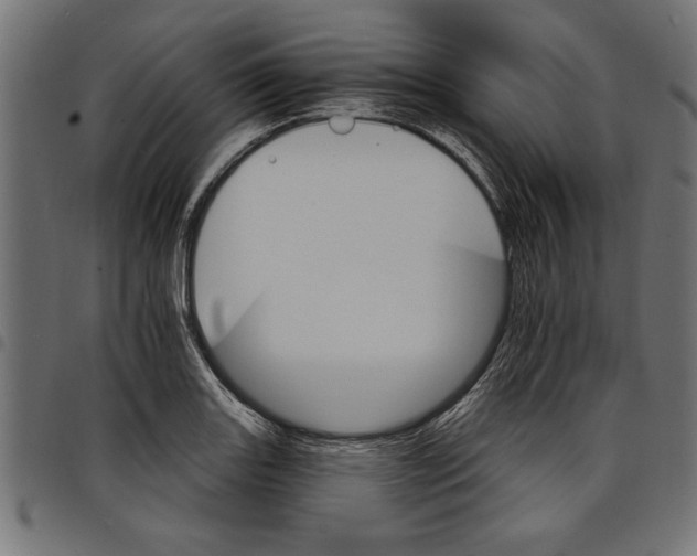 X0000097671131200803281007