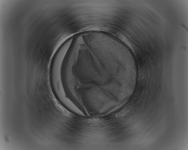 X0000097671132200803281007