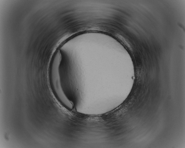 X0000097671133200803281007