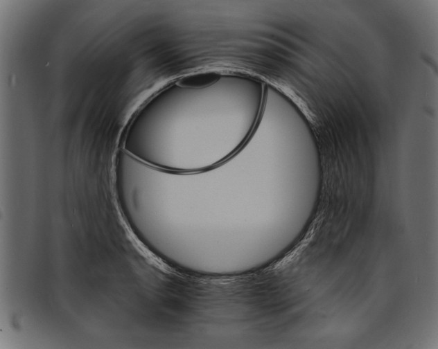 X0000097671134200803281007