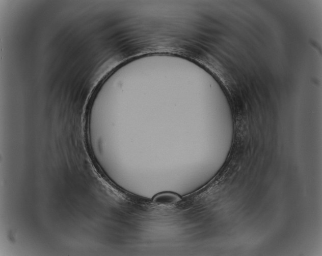 X0000097671135200803281007