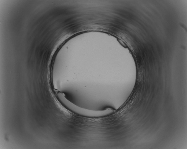 X0000097671136200803281007