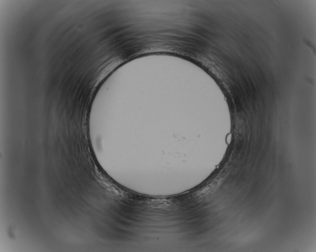 X0000097671137200803281007