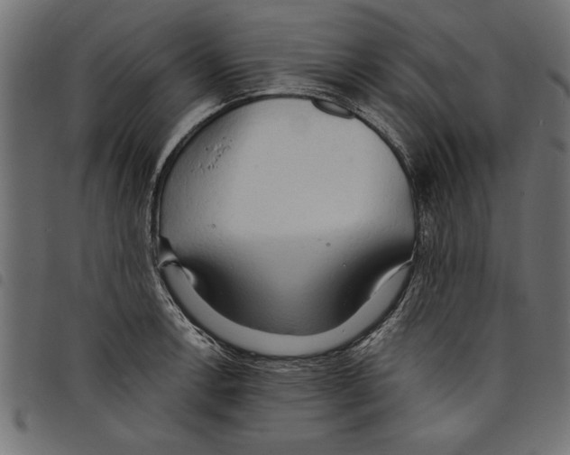X0000097671138200803281007