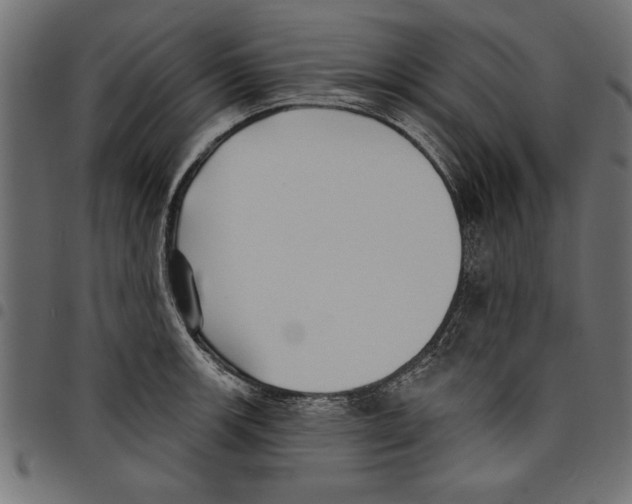 X0000097671139200803281007