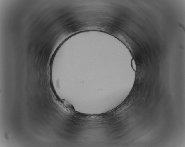 X0000097671140200803281007