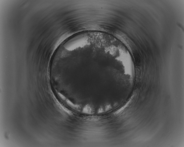 X0000097671141200803281007