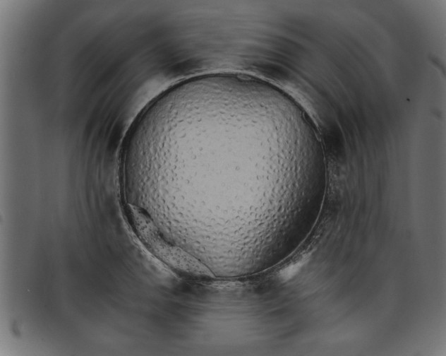 X0000097671142200803281007