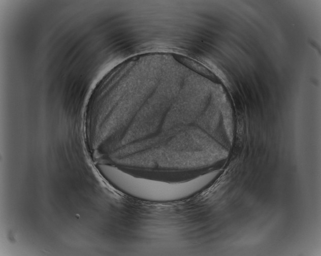 X0000097671144200803281007