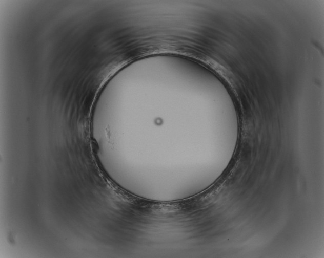 X0000097671145200803281007