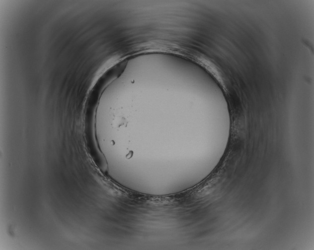 X0000097671146200803281007
