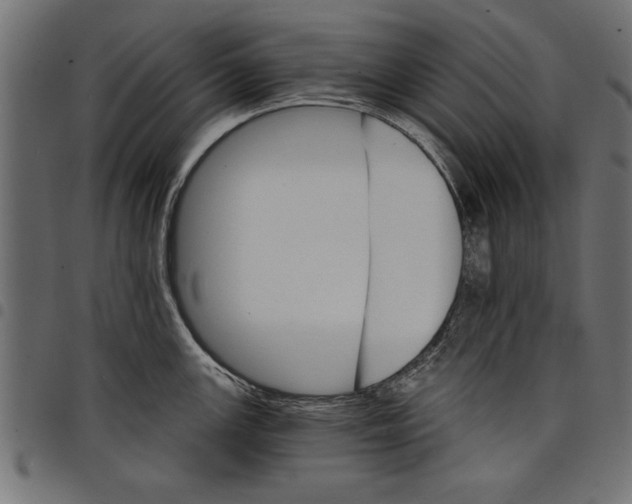 X0000097671147200803281007