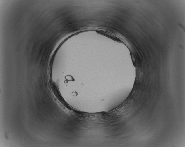 X0000097671148200803281007
