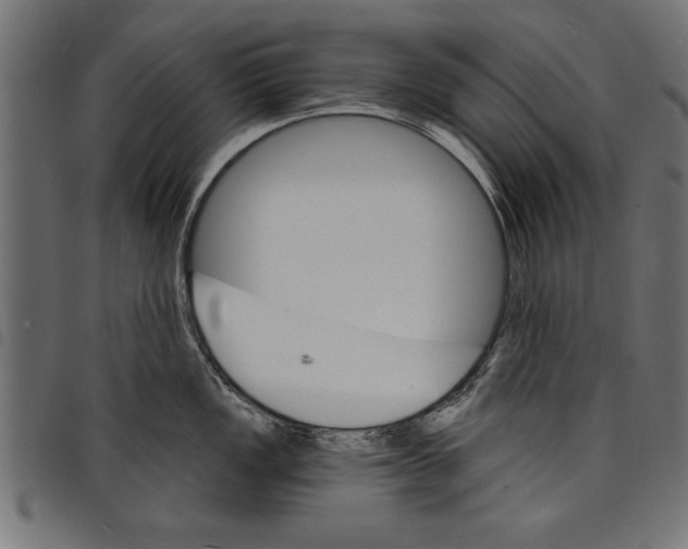 X0000097671149200803281007