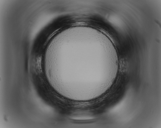 X0000097671150200803281007