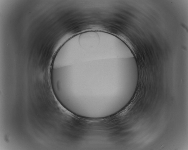 X0000097671151200803281007