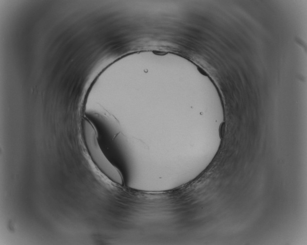X0000097671152200803281007