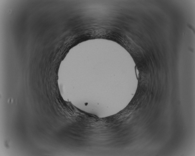 X0000097671153200803281006