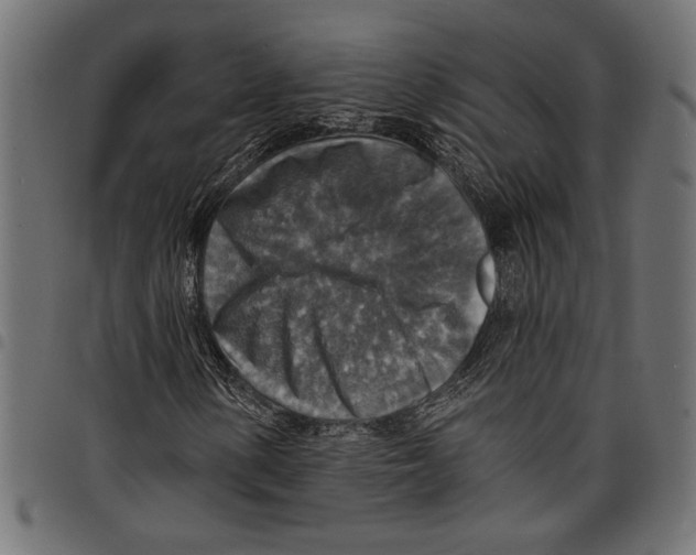 X0000097671154200803281006