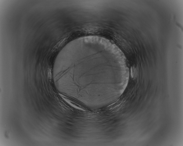 X0000097671155200803281006