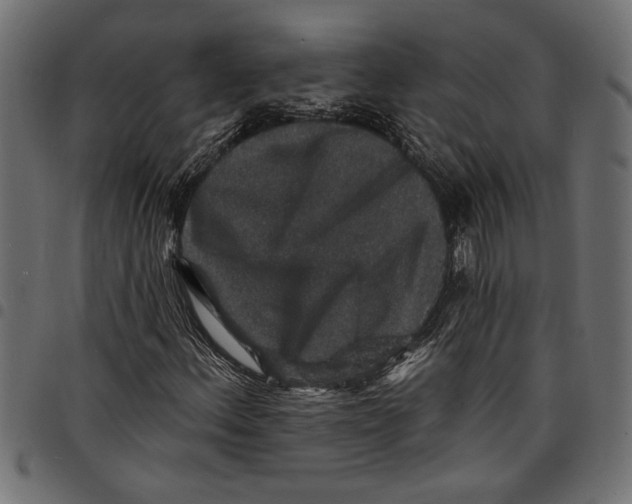 X0000097671156200803281006