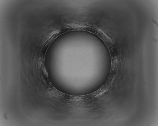 X0000097671157200803281006