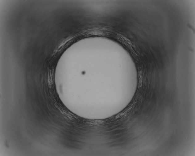 X0000097671158200803281006