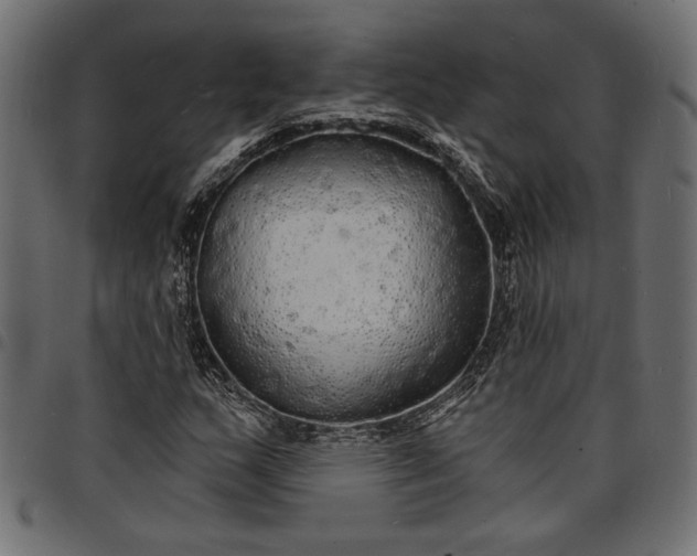 X0000097671159200803281006