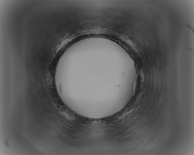 X0000097671160200803281006