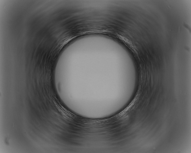 X0000097671161200803281006