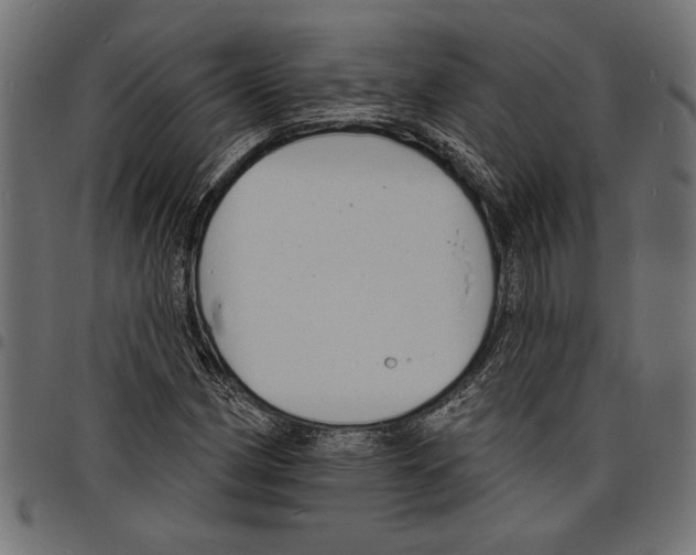 X0000097671162200803281006