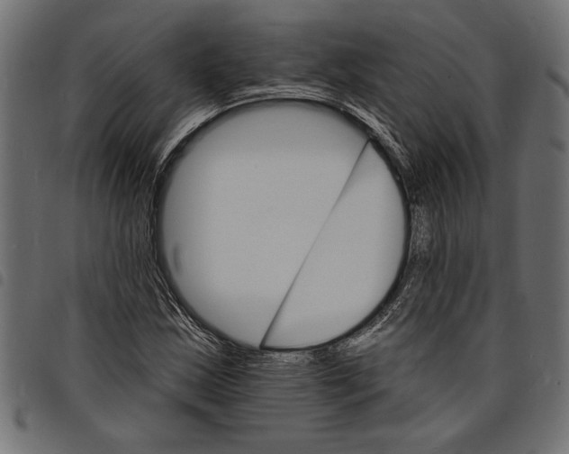 X0000097671163200803281006