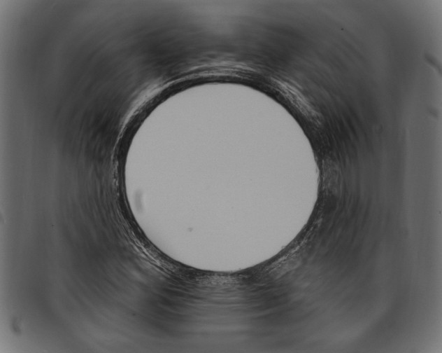 X0000097671164200803281006