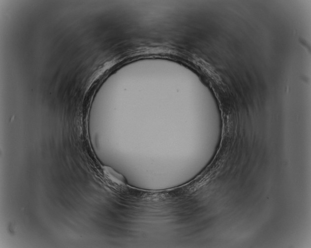 X0000097671165200803281006