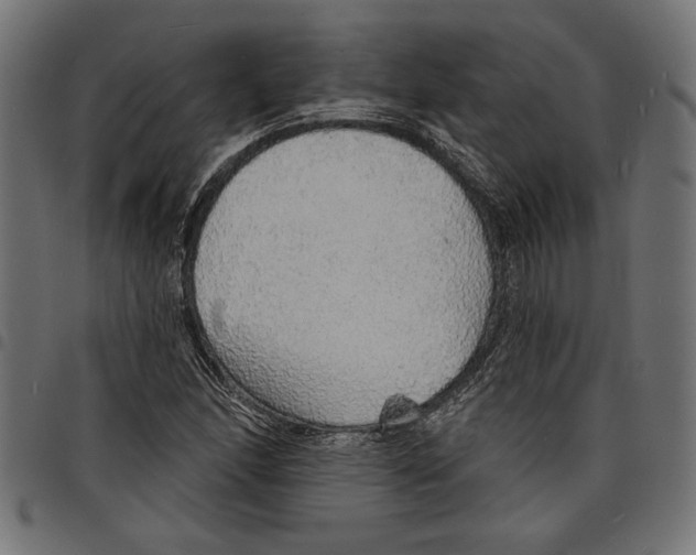 X0000097671166200803281006