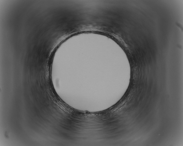 X0000097671167200803281006