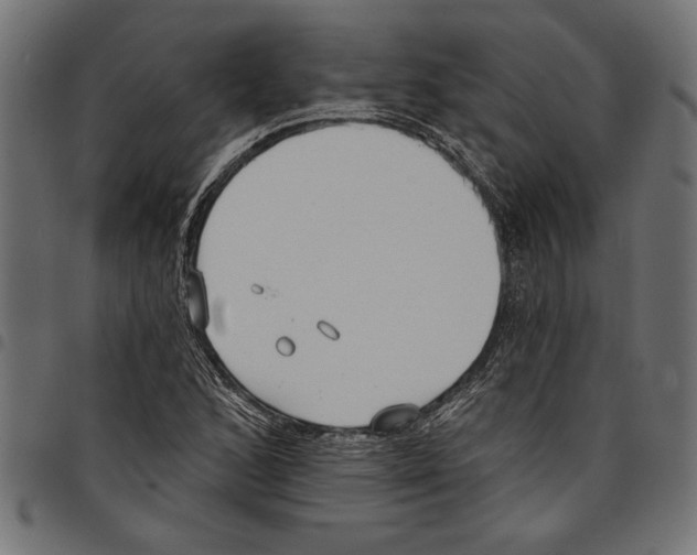 X0000097671168200803281006