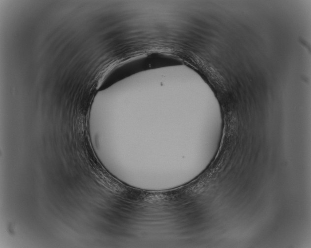X0000097671169200803281006