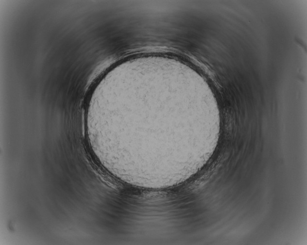 X0000097671171200803281006
