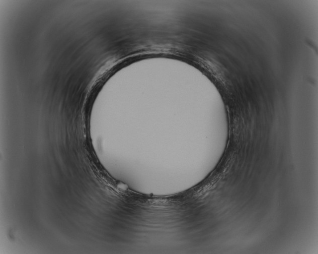 X0000097671172200803281006