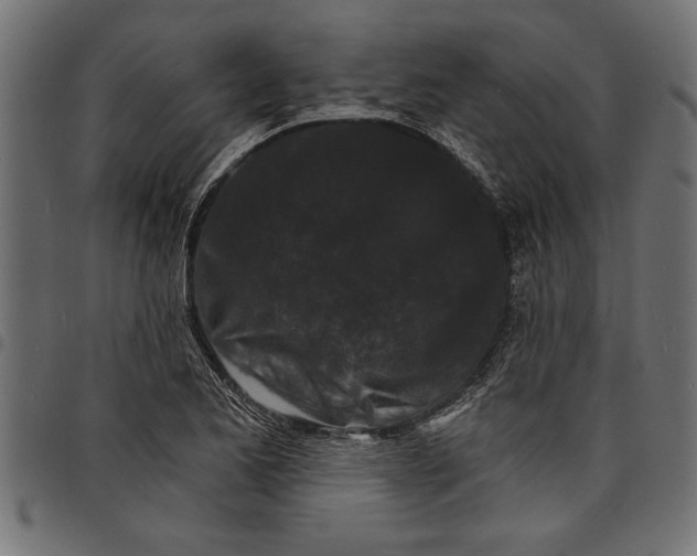 X0000097671173200803281006