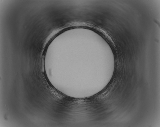 X0000097671175200803281006