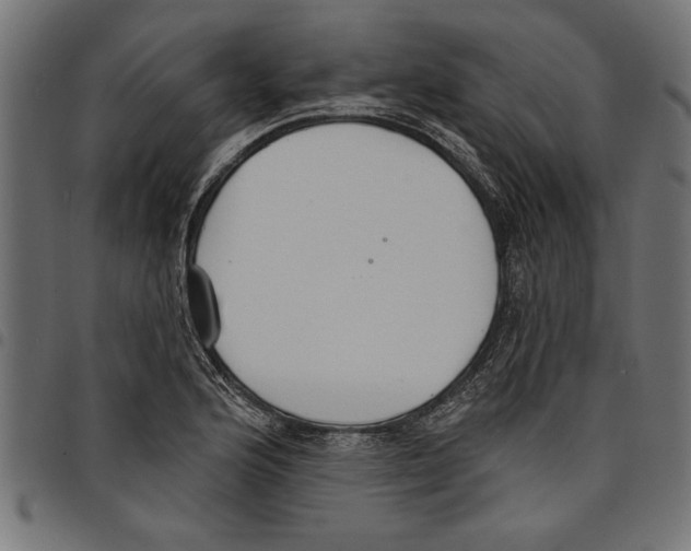 X0000097671176200803281006